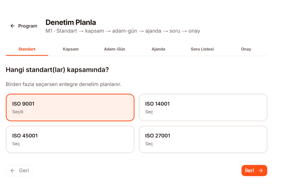 Denetim planlama sihirbazı — standart seçimi ekranı